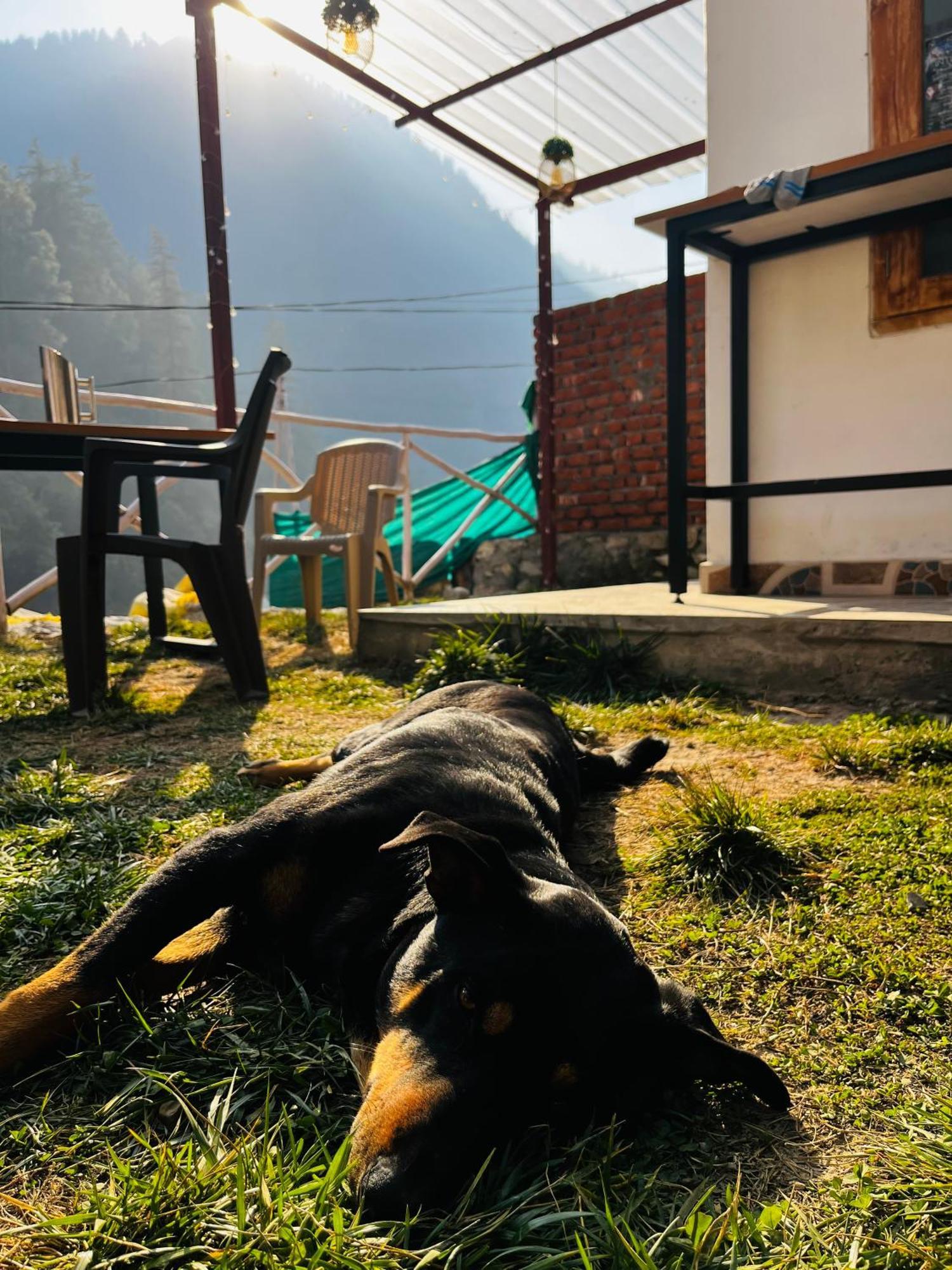 Hotel Adinova Kasol Eksteriør billede