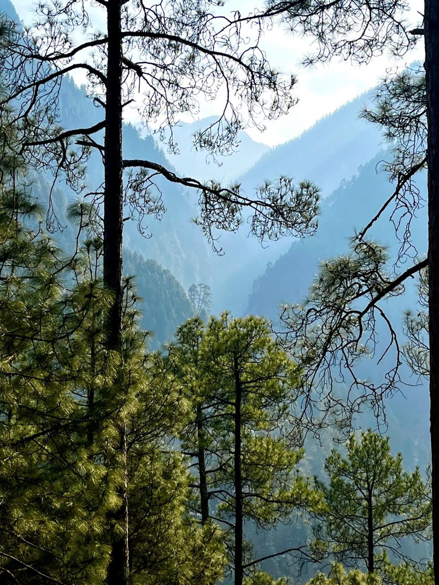 Hotel Adinova Kasol Eksteriør billede